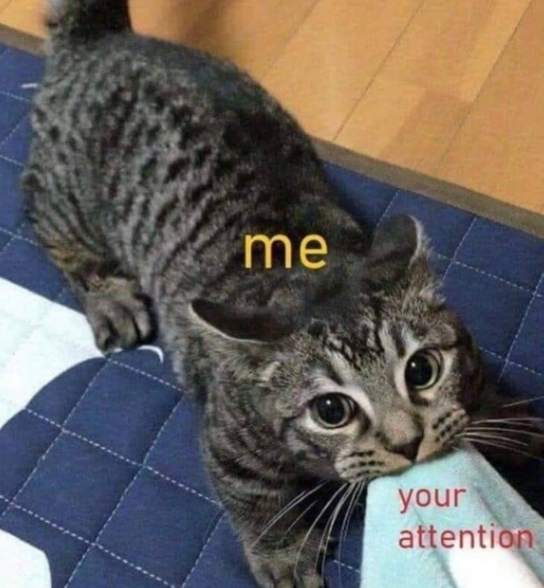 freakcuddles's tweet photo. https://t.co/TwuVAB1Hs8