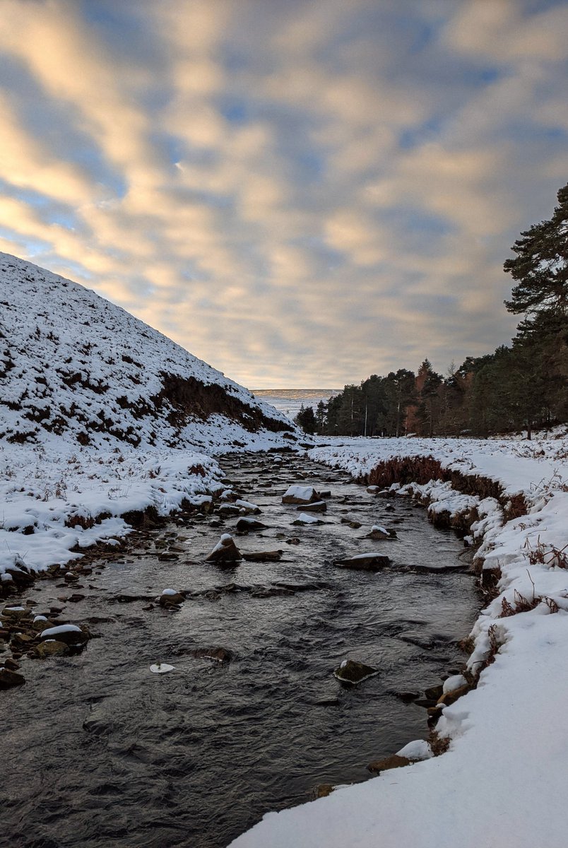 kallisteni's tweet photo. #darkpeak #getoutthere
 #langsett #WeatherWatchers https://t.co/pR3tAJV7XP