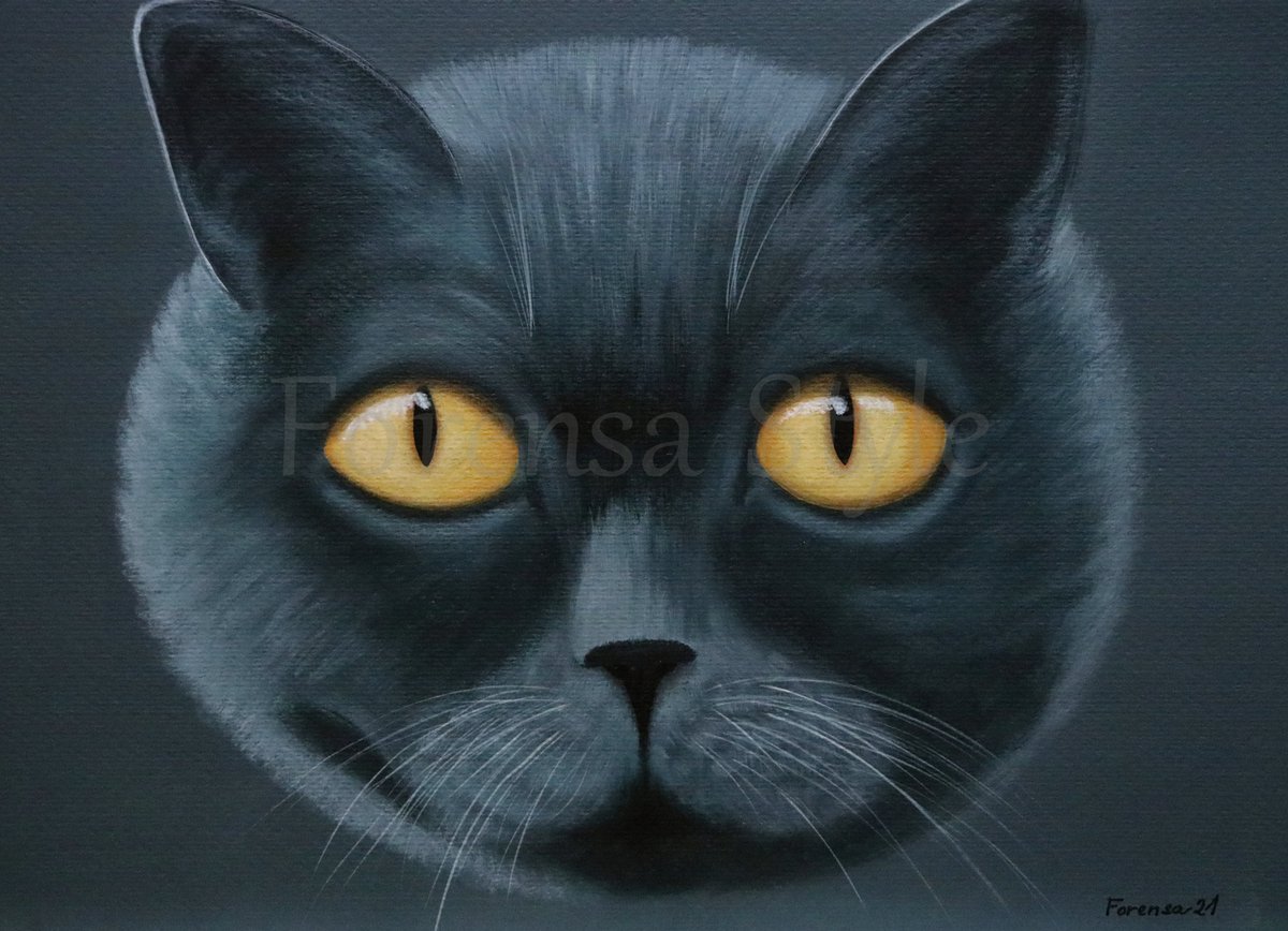 ForensaStyle's tweet photo. πΎ I see you! πΊ ... the "Meow" series π¨πΊ
(acrylic on paper)
#forensastyle #meow #catpainting #catart #catlover #animalart #acrylicpainting #acrylicart #contemporaryart #cuteart #catloversclub #iseeyou https://t.co/VxH6lzwRgV
