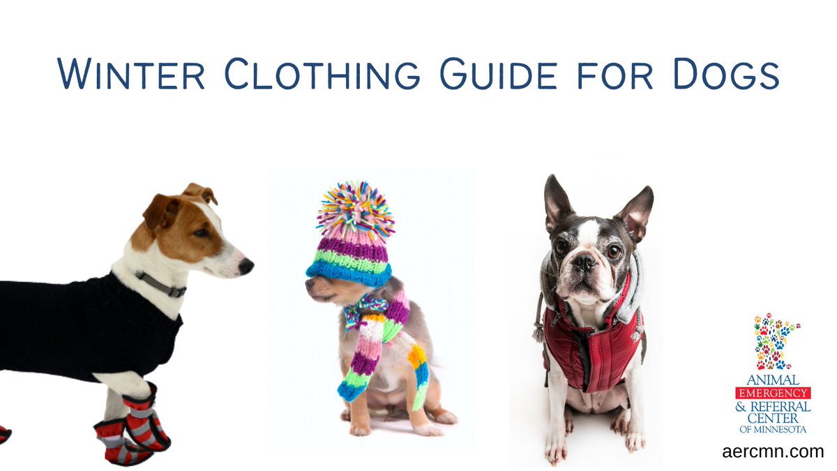 As temps drop these next few weeks, make sure you have what you need to protect your #pets from the cold weather! Here’s a winter clothing guide for #dogs to help dog parents determine what their dogs need, depending on the temp: https://t.co/8Yd7YRsJG4
#minnesota #mnwinter https://t.co/gtlZuMCn7u