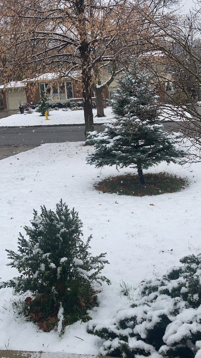 photopidge's tweet photo. Nothing like battling the #CanadianCommonCV on a snowy Sunday. https://t.co/HHF3xy365s
