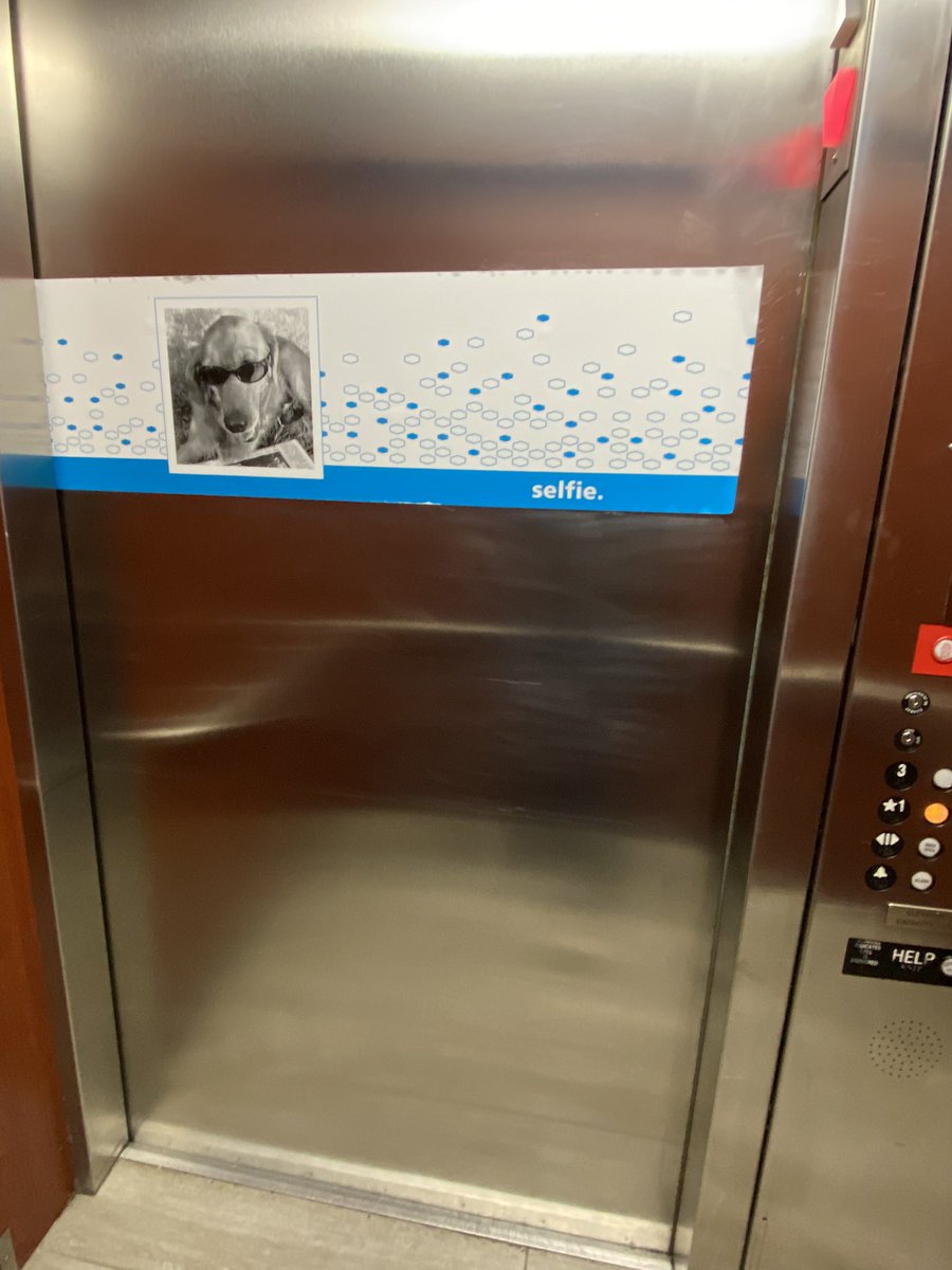 Airdorf's tweet photo. Hello SCP Foundation I believe this hotel was created by entities trying to pass themselves off as humans. Please advise https://t.co/k7nSmnwgdE