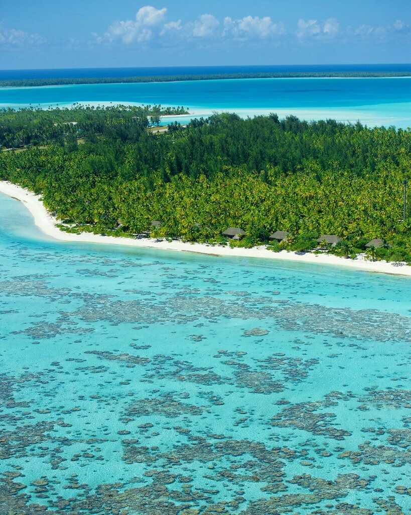 PacBeachcomber's tweet photo. Tetiaroa is calling you… with its white sand, glimmering seas, and sunny skies. We look forward to welcoming you back to the Brando soon!
#thebrando #tetiaroa #frenchpolynesia #travel #crystalclearwater #turquoiselagoon #lushvegetation https://t.co/RIkpzTdQBe