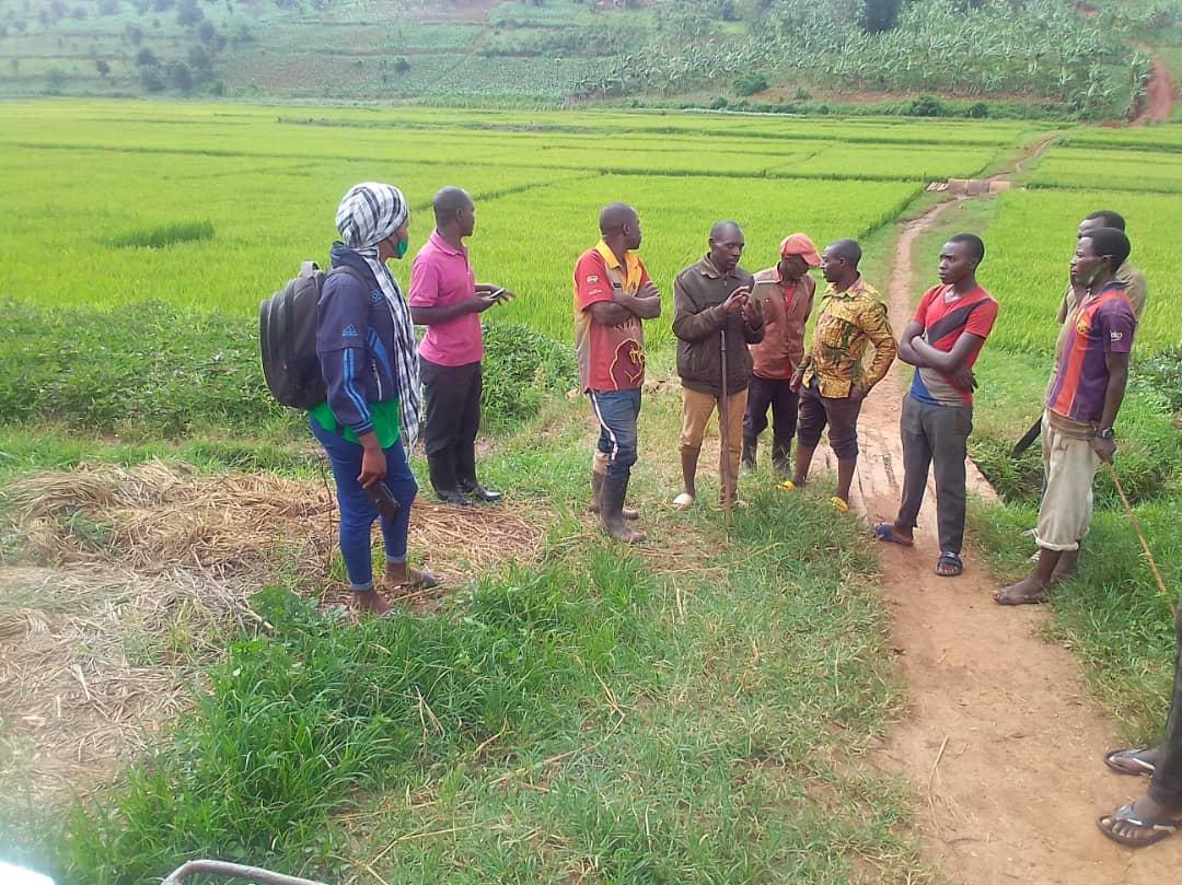 FPR Inkotanyi Murama Sector tweet media