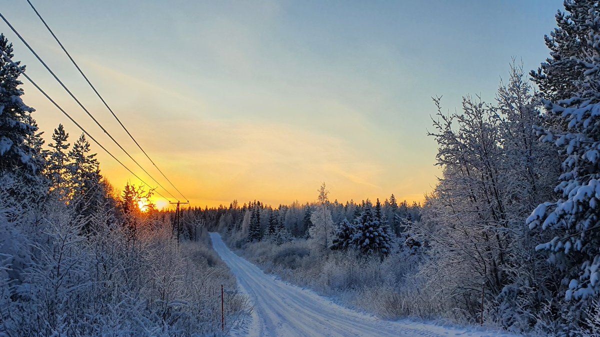 Elli_M1's tweet photo. Neljä vuodenaikaa on rikkaus 🇫🇮
#suomenluonto #finnishnature #sotkamo #suomi #finland https://t.co/XfRkyLvPDH