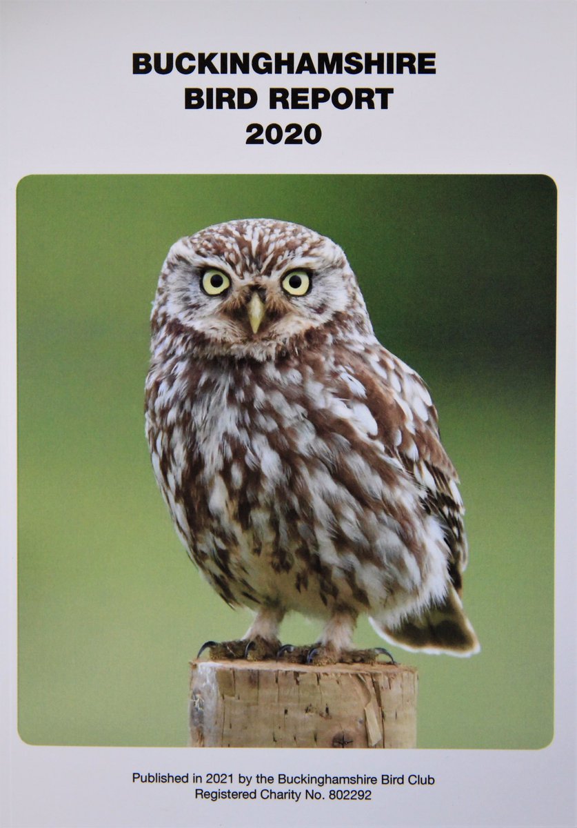 Thanks to the dedication of editor Mike Wallen we are pleased to say that the 2020 Report has just been published. Free to members (just £15 to join) its contents stretch to 136 pages. Non members can obtain a copy of the report for £8.00. Email - recorder@bucksbirdclub.co.uk.