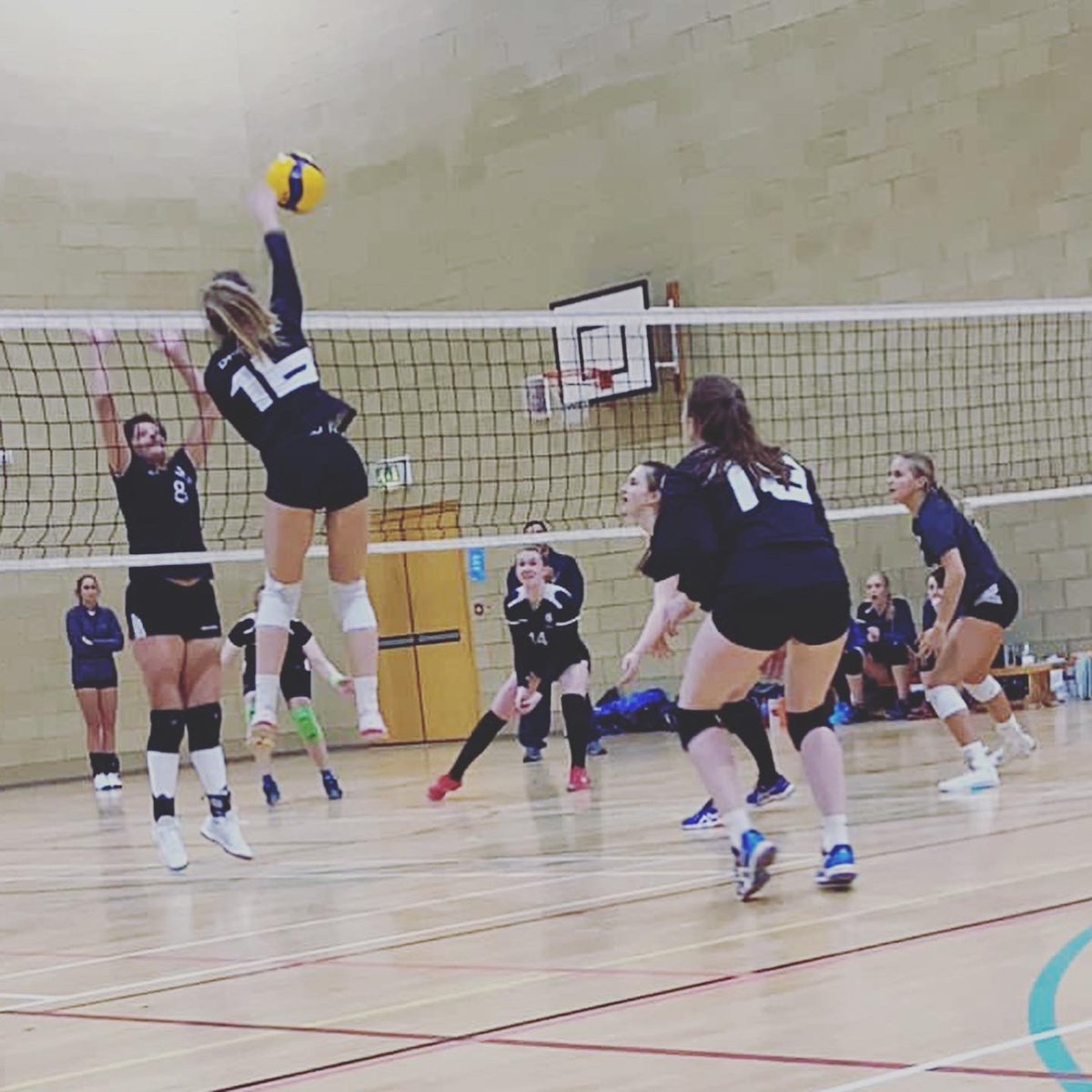 DARKSTAR Volleyball™ tweet media