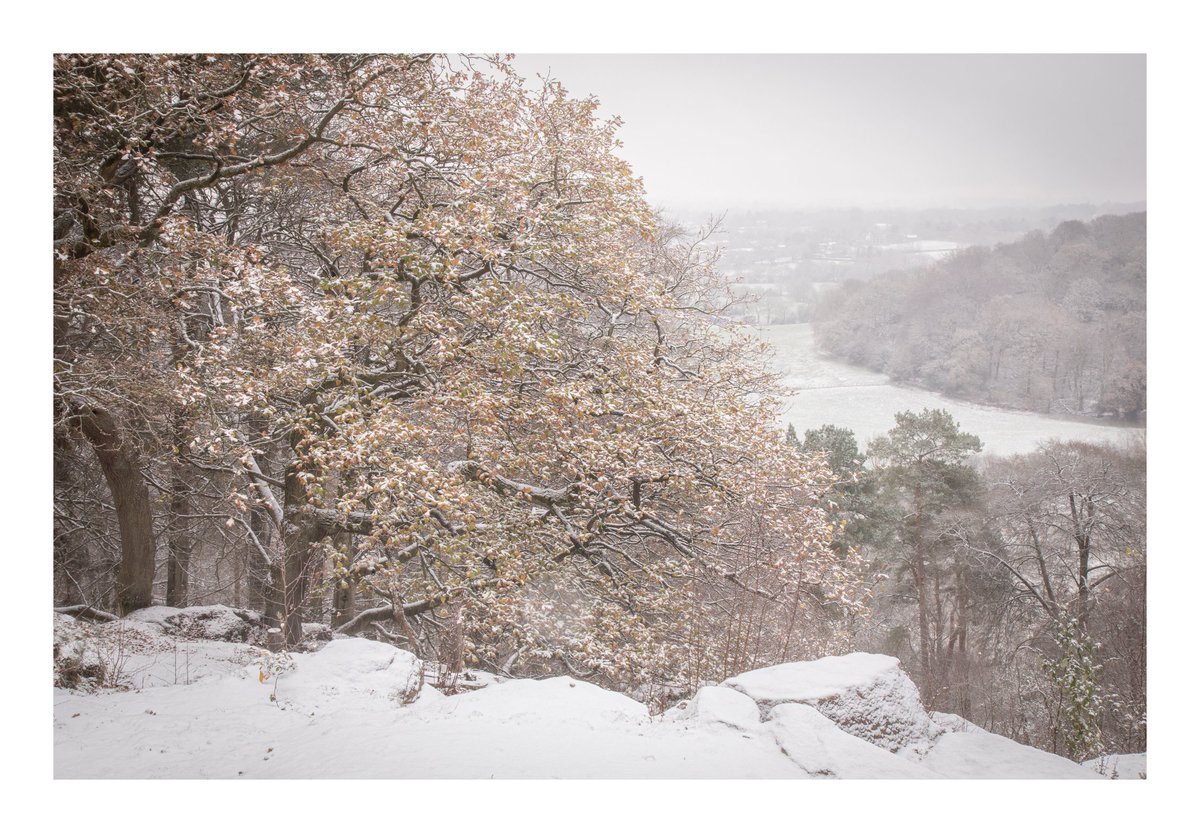 I spent most of the weekend very envious of the snowy scenes in my feeds. But then it started snowing here.

After yesterday's blog, I silenced my doubts and went out to <a href="/NTAlderleyEdge/">NT Alderley Edge</a>. Had an absolute whale of a time :)

#StormHour #ThePhotoHour <a href="/socheshire/">So Cheshire</a>