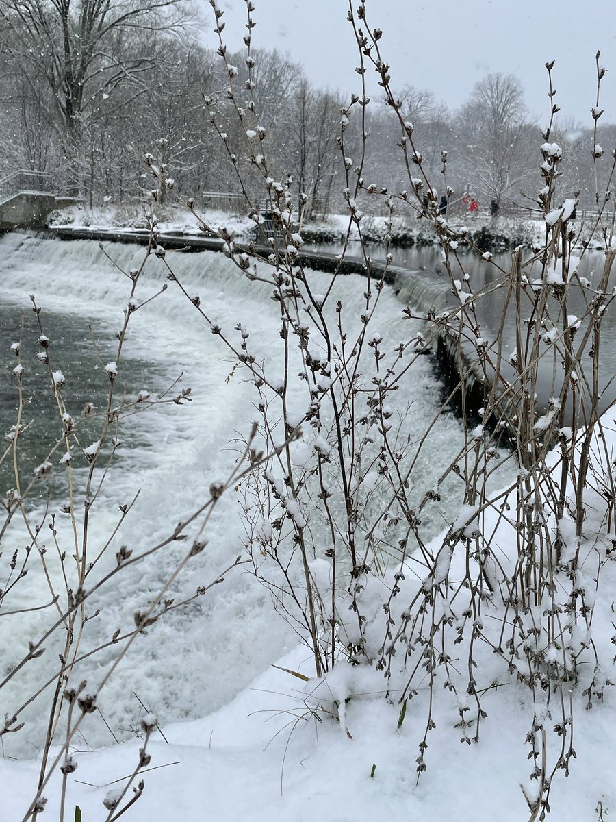 beeblake's tweet photo. Thank you  @heritagetoronto  for the great winter walk today led by @shawnmicallef around Mount Dennis #httours https://t.co/aBNS9cyRvS