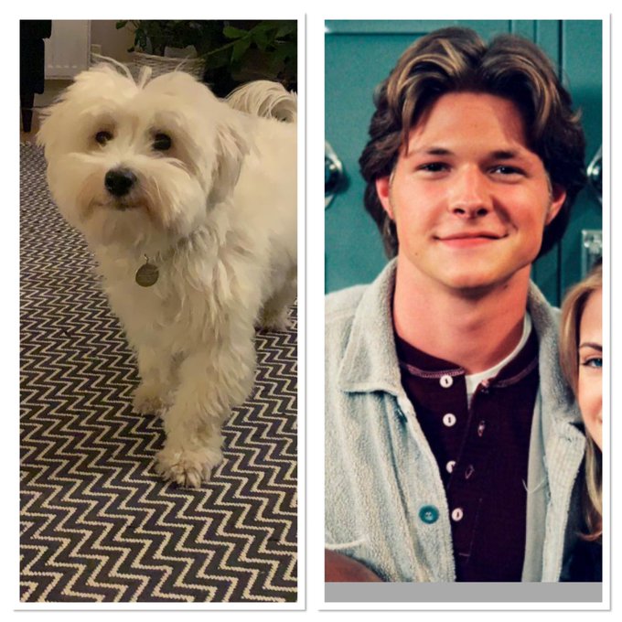 #ADHD is:trying to finish module of e-learning but instead seeing picture of friend&rsquo;s dog then trying<a href="/tag/adhd"class="tags">#ADHD</a>