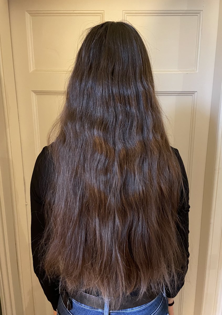 Very briefly back on Twitter… On 8 January I’ll be cutting my hair off (hopefully about 40cm!) to donate to the Little Princess Trust <a href="/LPTrustUK/">Little Princess Trust</a>, which makes real hair wigs for children who have lost their hair. Please consider supporting me – thank you!! tinyurl.com/ykzfervt
