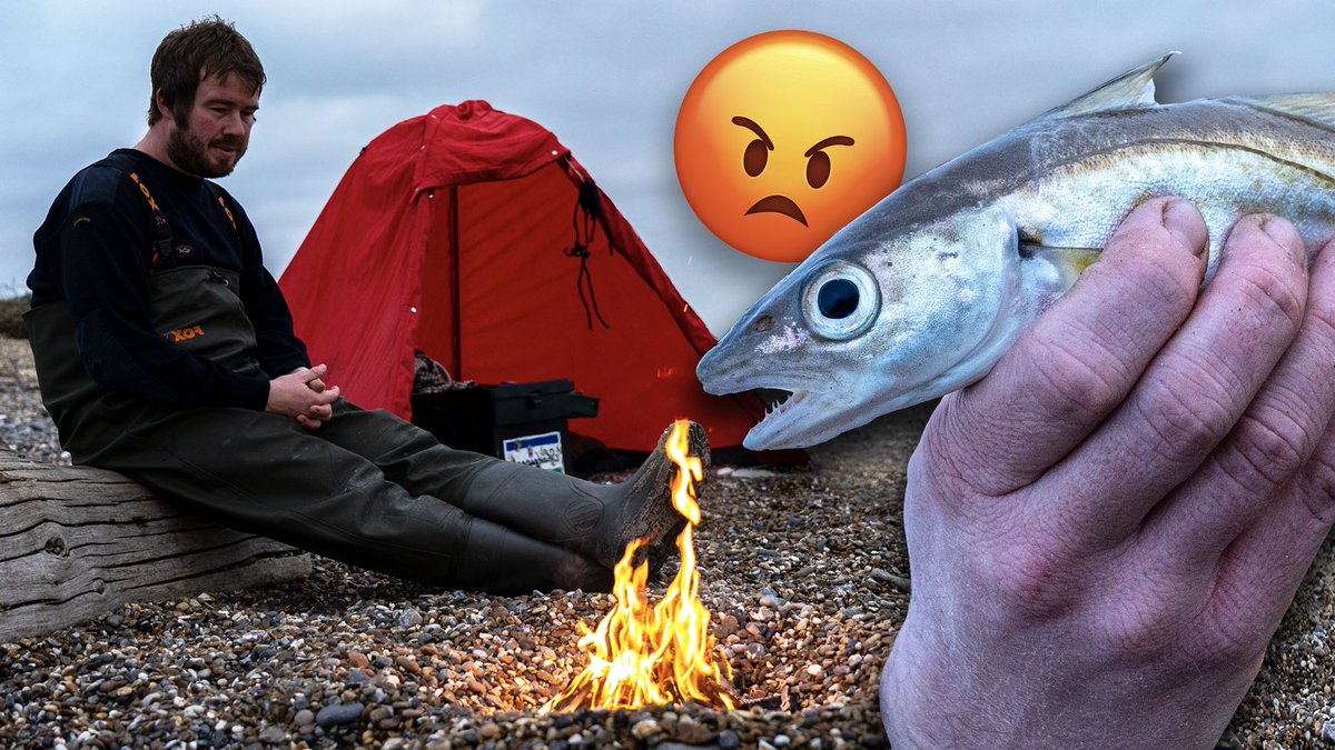 WatersEdgeTV's tweet photo. New video is now live! 🎣😊 https://t.co/7XxfsDcD4j https://t.co/AG0490DbuJ