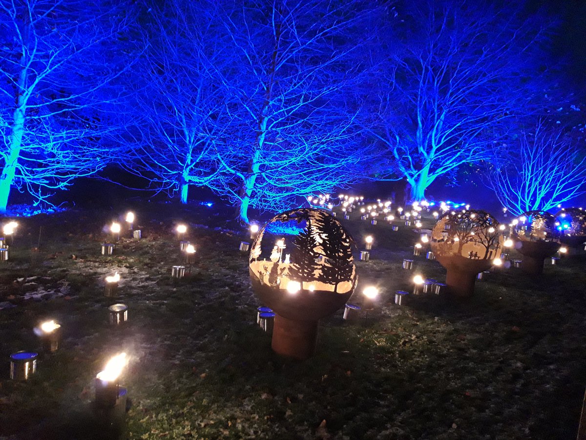 'I liked the way they lit up the waterfall'. Read our review of this year's fabulous Christmas at the Botanics bit.ly/3lizoee. @mychristmastrails <a href="/TheBotanics/">Royal Botanic Garden Edinburgh</a>  #ChristmasAtTheBotanics