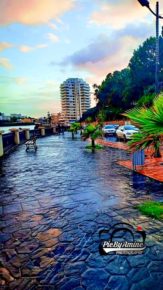 BeyMohamedAmine's tweet photo. اللهم أسقينا غيثاََ مغيثاََ مرئياََ نافعاََ غير ضار 🤲🌴🌺
اللهم صيباً نافعاً 🌂🌧☔️
تصبحون على خير
#ليلة_اسعيدة
#صورةاليوم
#الجزائر
#امسية_موفق_للجميع
#Its_raining
#GoodNightTwitterWorld
#GoodAfternooneveryone
#Happyday
#Good_Night_Everyone
#have_a_nice_day https://t.co/VcHaZ10Dz9