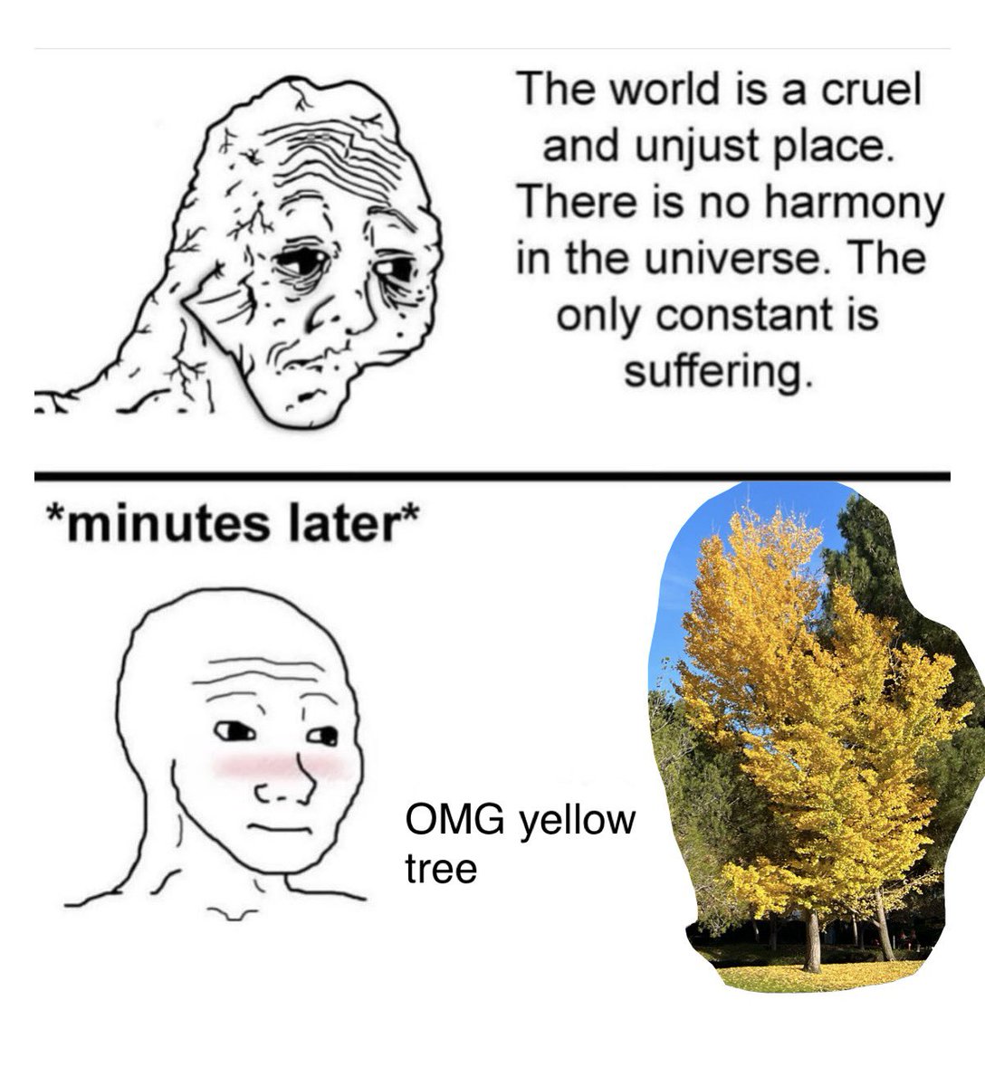 🏸 (@angelbyshaggy) on Twitter photo 