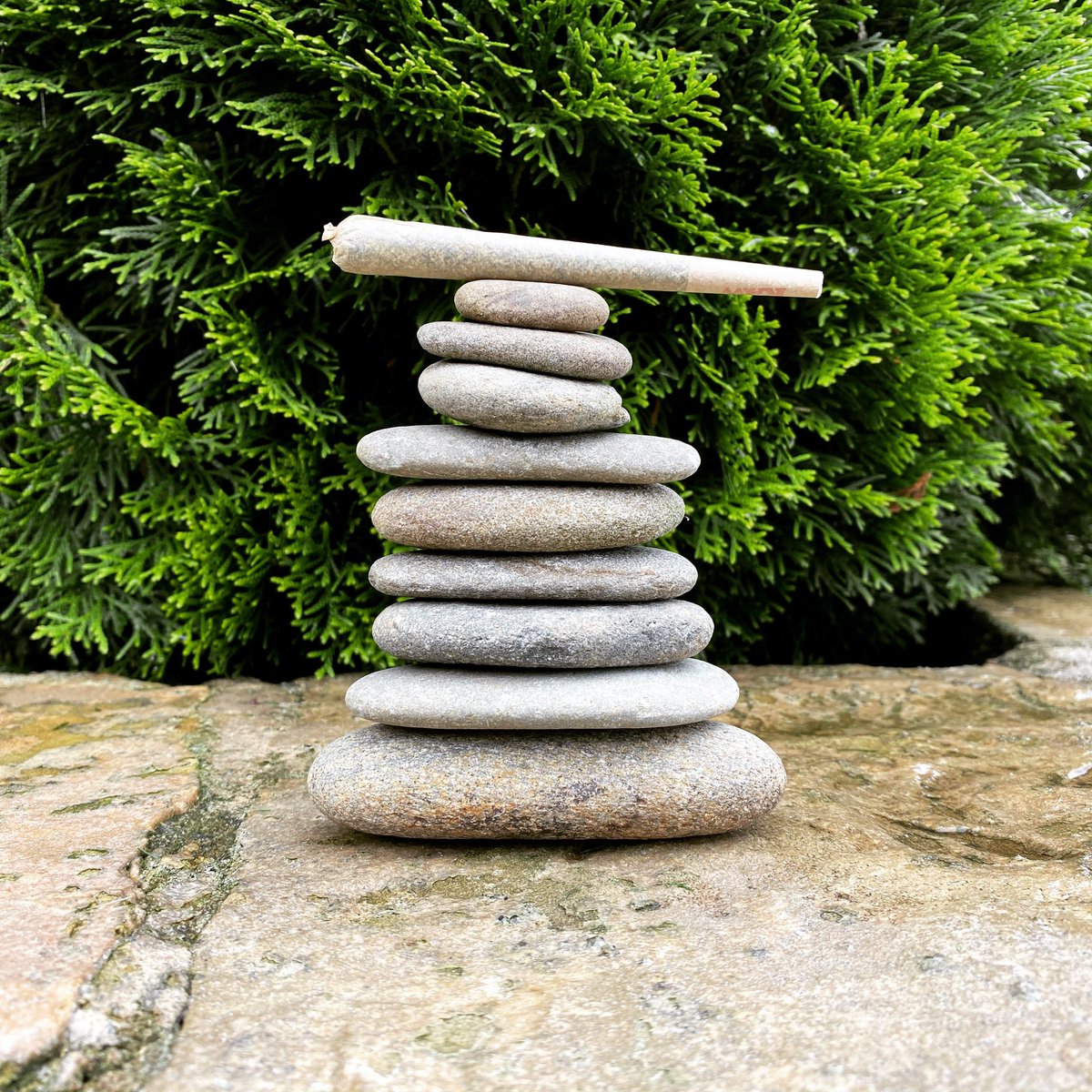 Find your zen with some Delta-8 Flower. 

#hemp #delta8