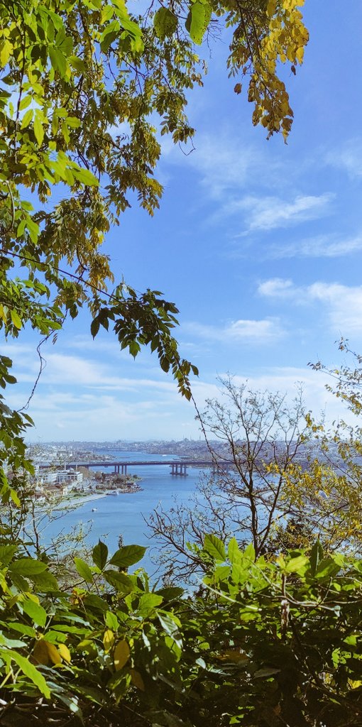 "Benim gönlüm gök gibidir açık deniz gibidir
Pas tutmaz benim içim yeryüzü gibidir
Toprak gibidir"

Erdem BAYAZIT 28'11