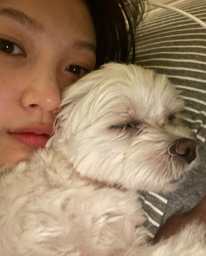 SLUTWARU's tweet photo. Eu não resisti e acabei adotando o cachorrinho que ficou me perseguindo depois de sair do aeroporto, só não tenho um nome ainda, aceito ideias de nomes! Passamos o dia dormindo juntinhos. https://t.co/VLS3RY6Jq9