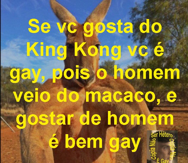 Ser Hétero É Gay 🏳️‍🌈 tweet media
