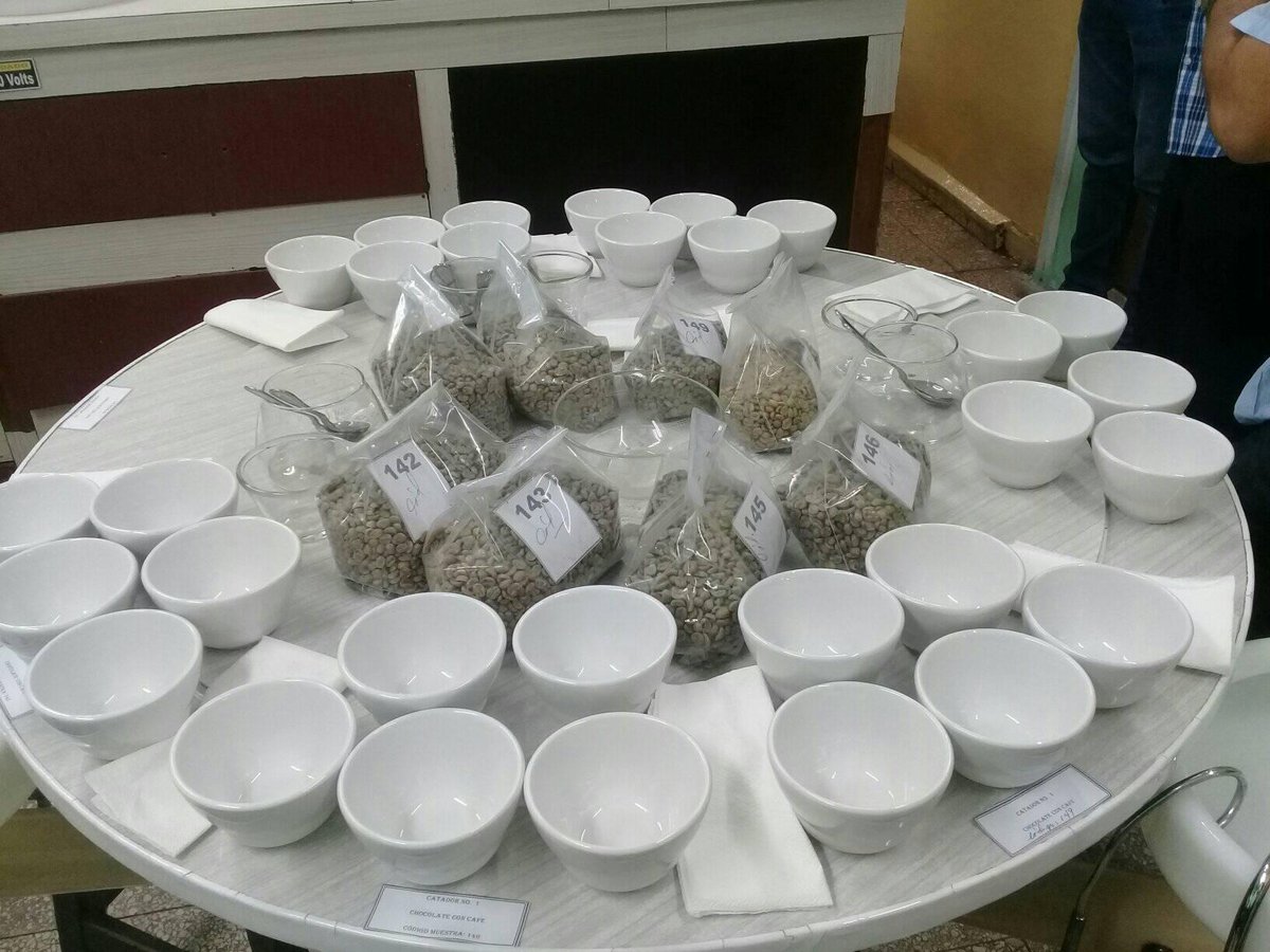PrensaGtmo's tweet photo. 📣Evento de #catación de #café ☕ en el Grupo Enmpresarial #AltoSerra, en #Guantánamo, con la participación de representantes de todas las empresas #exportadoras del grano en #Cuba🇨🇺 y con #catadores invitados de #Perú❗❗❗ #FestivalChocolateConCafé @MinagGuantanamo @MINAGCuba https://t.co/Bxl5RSJUb2