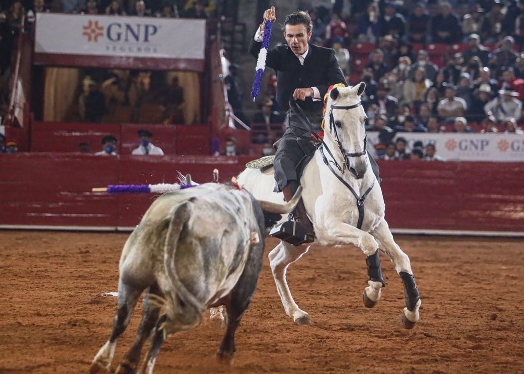 LaPlazaMexico's tweet photo. ¡Resultados del sexto y último toro de la tarde, este para @fauro_aloi ! 
• Vuelta al ruedo con los forcados @amadoresdm 

Galería en link ➡️ https://t.co/zR4qlOyBMz

#CorridaDeRejones  #LaReapertura #LaMexico https://t.co/NOzWGQbxFh