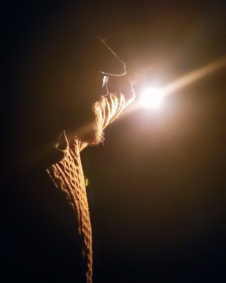 Wildandschmit tweet media