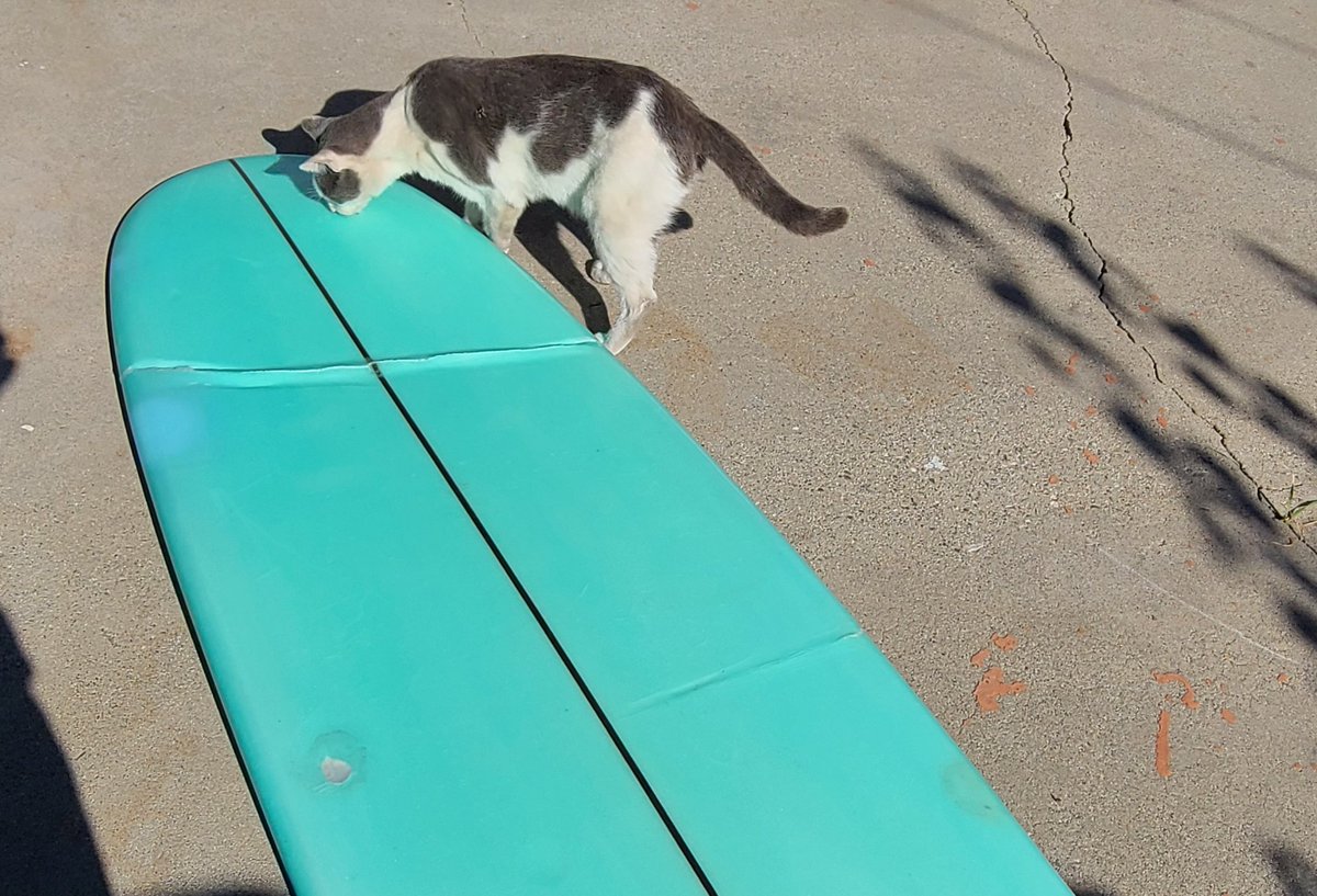 MinnieSkai's tweet photo. また、やってしまったよ😭😭😭
The waves have been so powerful.
I should have ditched the board to a side instead of turtling... 😣
So much regret! 😫 https://t.co/tnHU1A19Qh