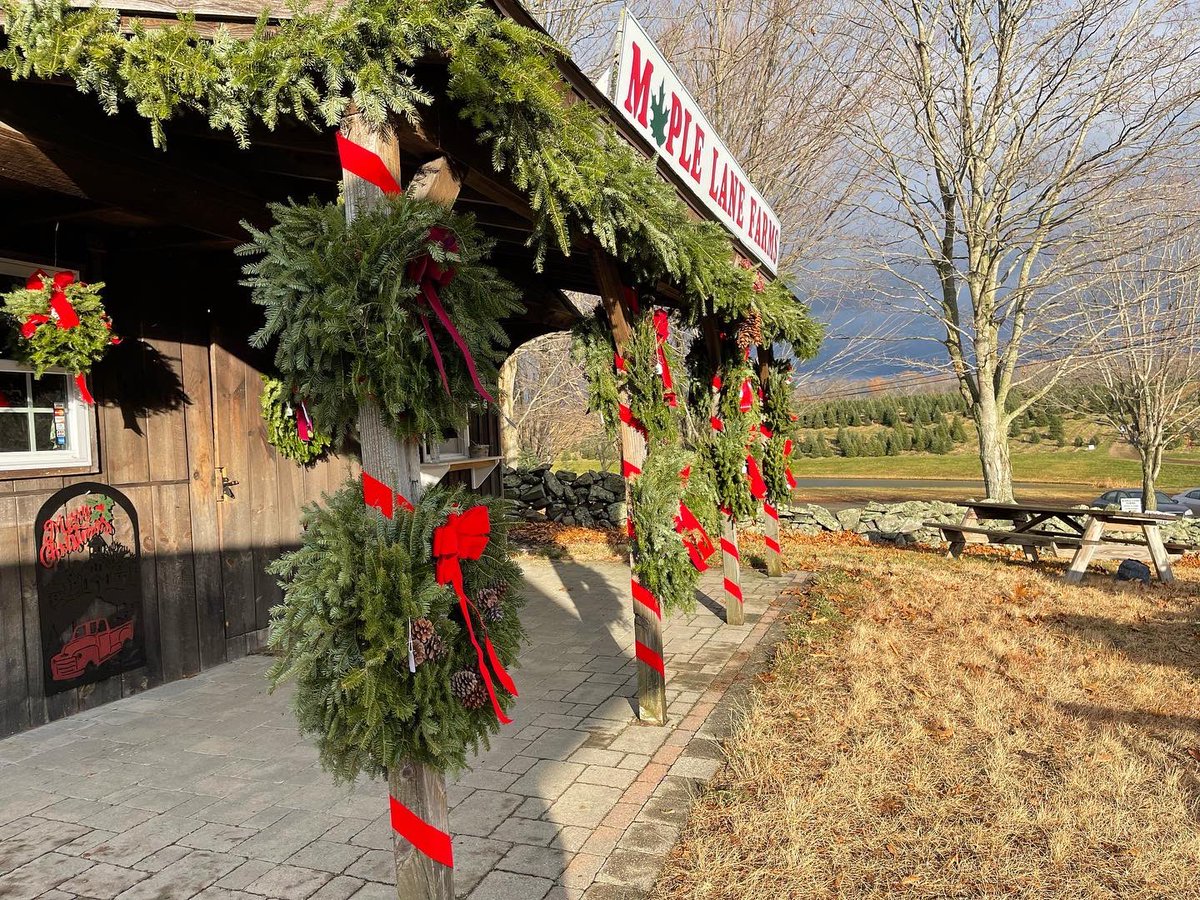 MapleLaneFarms_'s tweet photo. A great opening weekend! https://t.co/XozVbNndbU