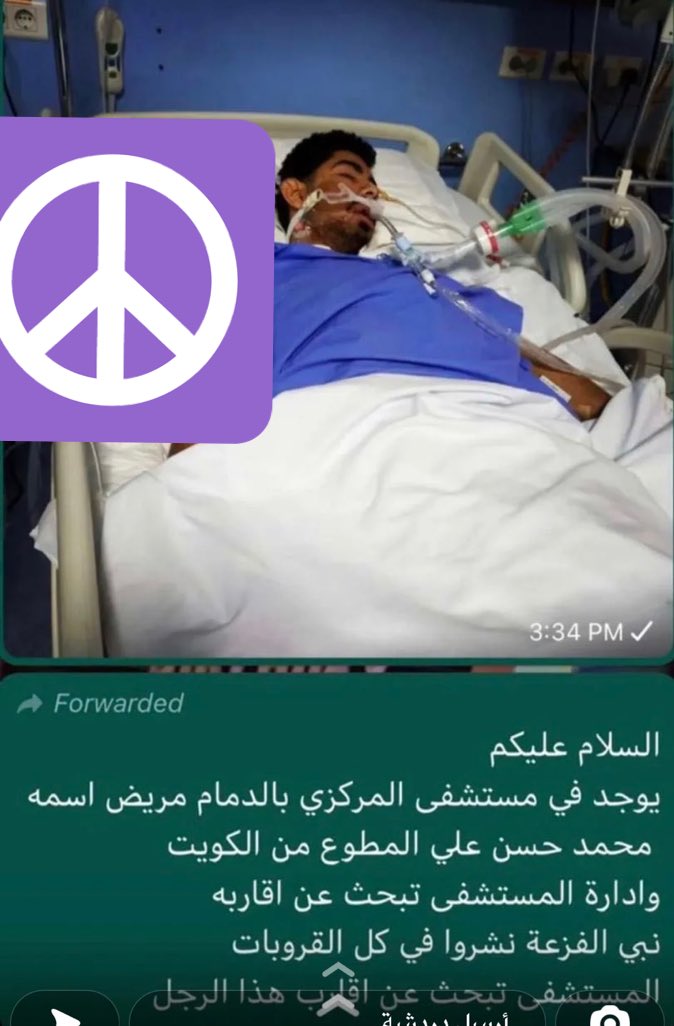 FatimaAlmazidi tweet media
