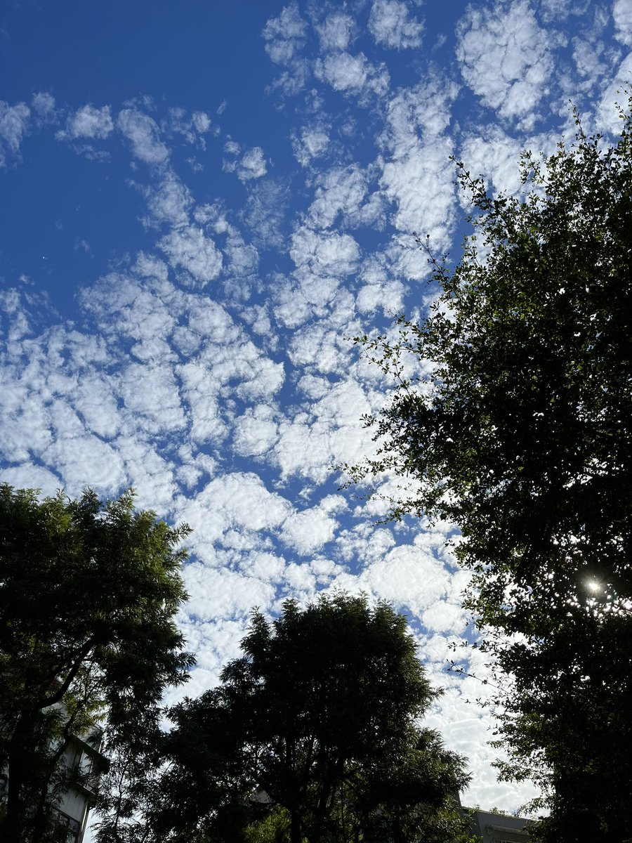 TaiwanToLive's tweet photo. A beautiful day #LiveAtTaipeiCity https://t.co/4eKuBBJnco