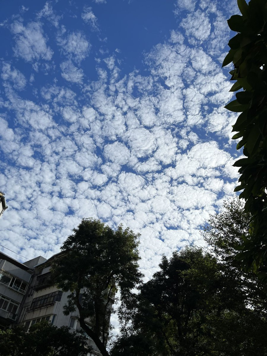 TaiwanToLive's tweet photo. A beautiful day #LiveAtTaipeiCity https://t.co/4eKuBBJnco