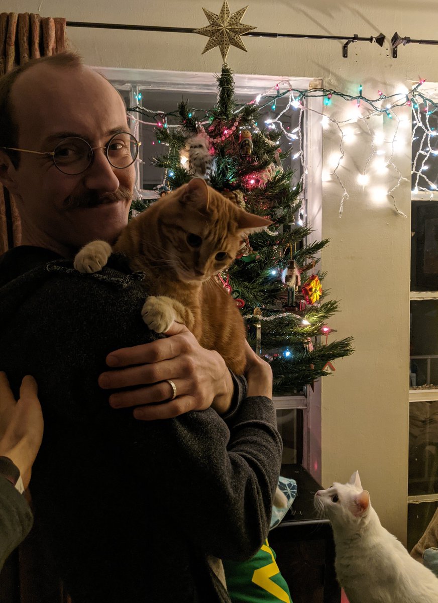 bargainac's tweet photo. today @skeletonknaebel and I decorated for christmas and watched the traditional holiday programming https://t.co/NDNWvRHiCv
