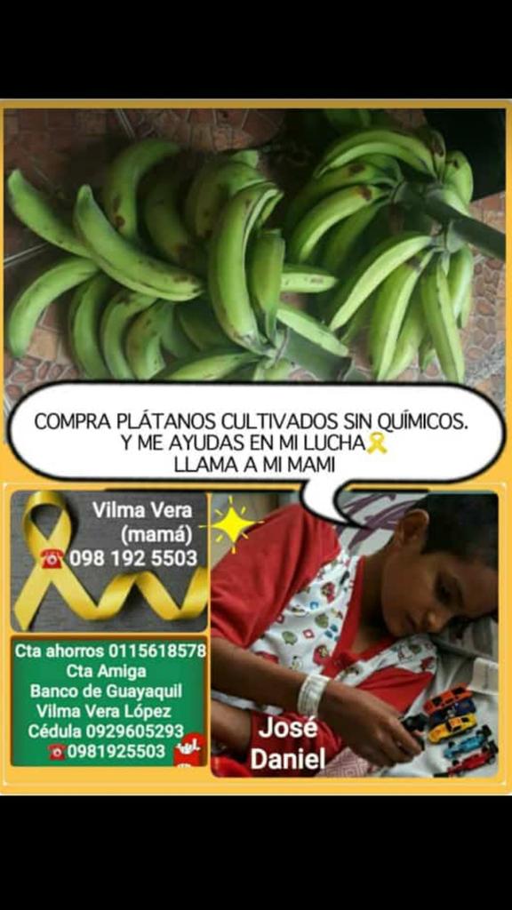 JoseDanielPuga1's tweet image. Vamos a llevar verdes bajo pedidos para costear la receta de mi pequeña hermanita de Jose Daniel quien se anime me escribe tendremos de 5 y 10 dolares asi recogeremos para pasajes y para dejar comprada la receta a la bebe ya q nosotros nos toca ir al hospital a quimio