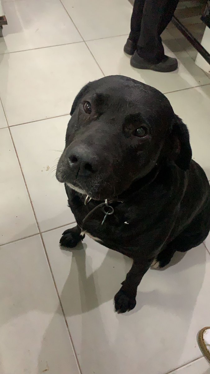 lucas moyano tweet media