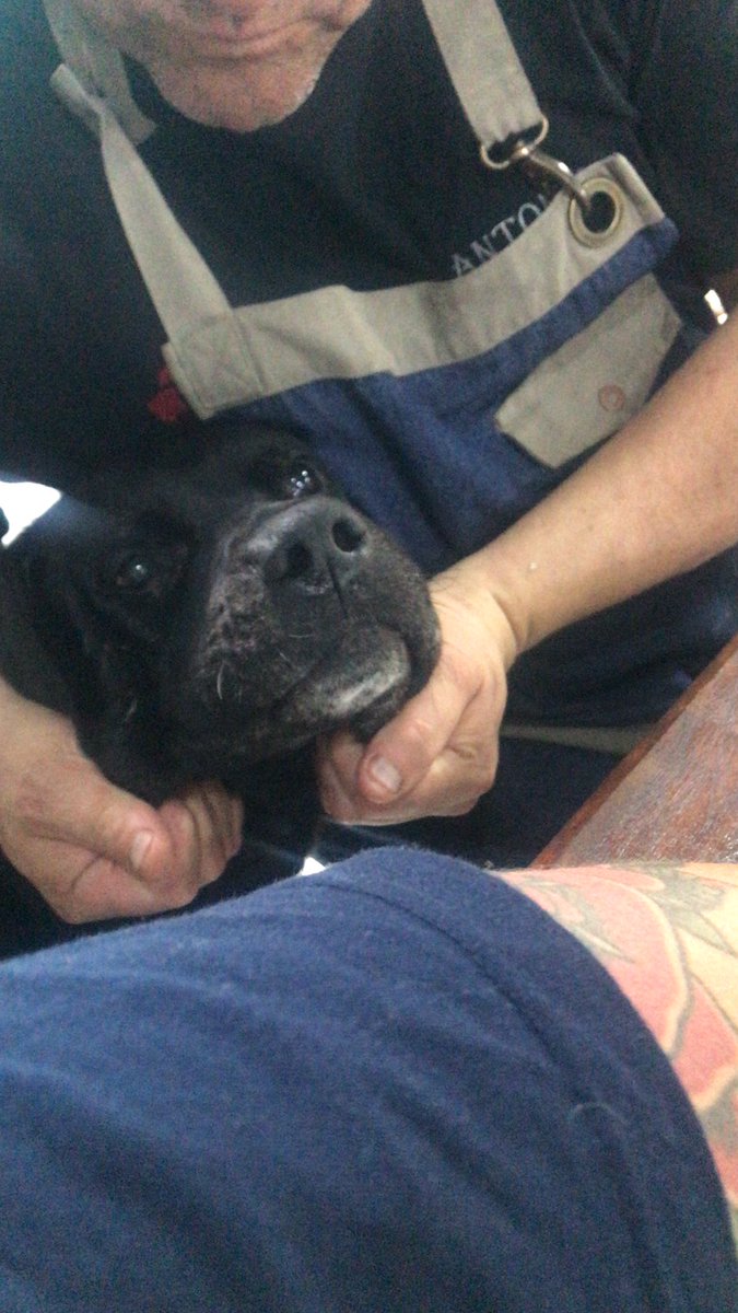 lucas moyano tweet media