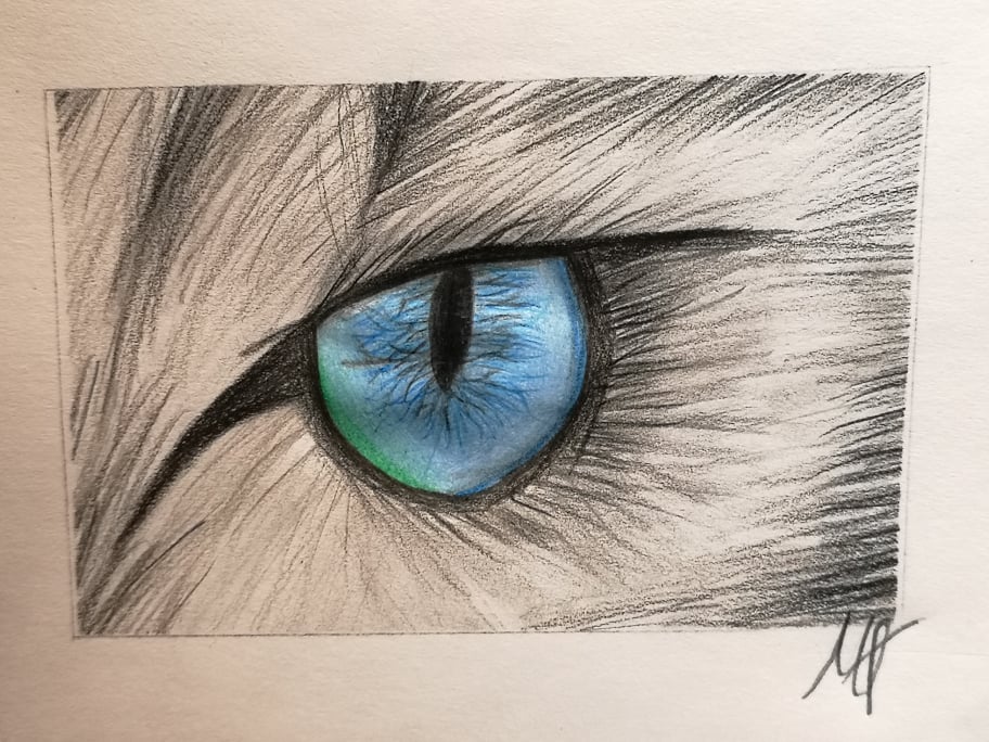 Cat's eye sketch (Best I've made)