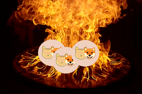 📢📢3rd Token Burn📢📢
We have just #burn  1.4 Trillion #KSHIBA  #KittyShiba
We say earlier, this process will continue until 1st target to reach 100Trillion #KSHIBA
Burn Link: tinyurl.com/kshibaburn-03

#MEME #BSC #PancakeSwap #CheeseSwap #BEP20