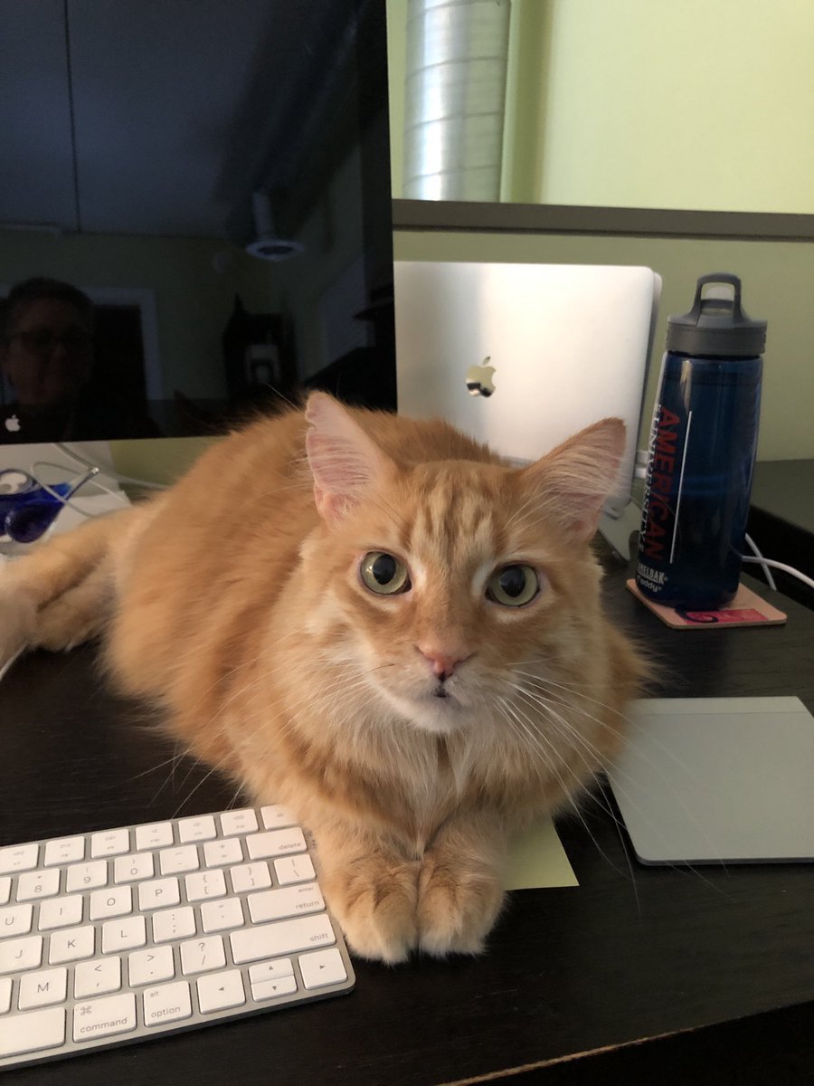 celine marie pascale