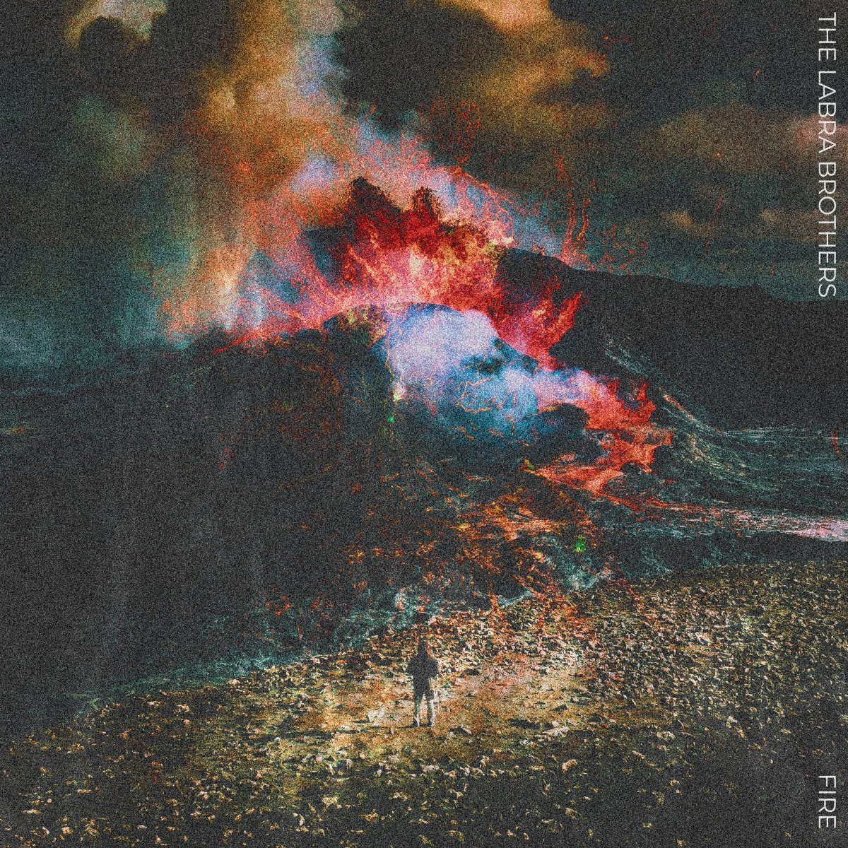 The Labra Brothers tweet media