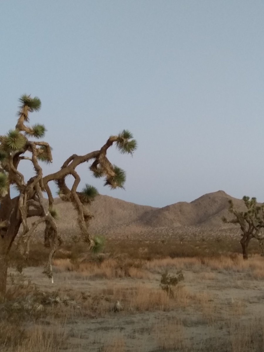 SaddlebackButte tweet media