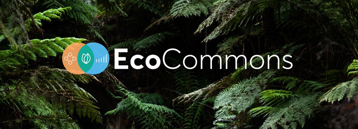 EcoCommonsAus's tweet photo. Trilled to formally start external testing of the EcoCommons platform today! 😀🎉🥳Tune into our webinar at 2pm Brisbane time to learn all about it.
#digitatplatform #ecology
https://t.co/TqWebvjrj7
@qcifltd @ARDC_AU @atlaslivingaust @TERN_Aus @CSIRO @GU_Sciences @UQ_CBCS https://t.co/F8q9X7obmU