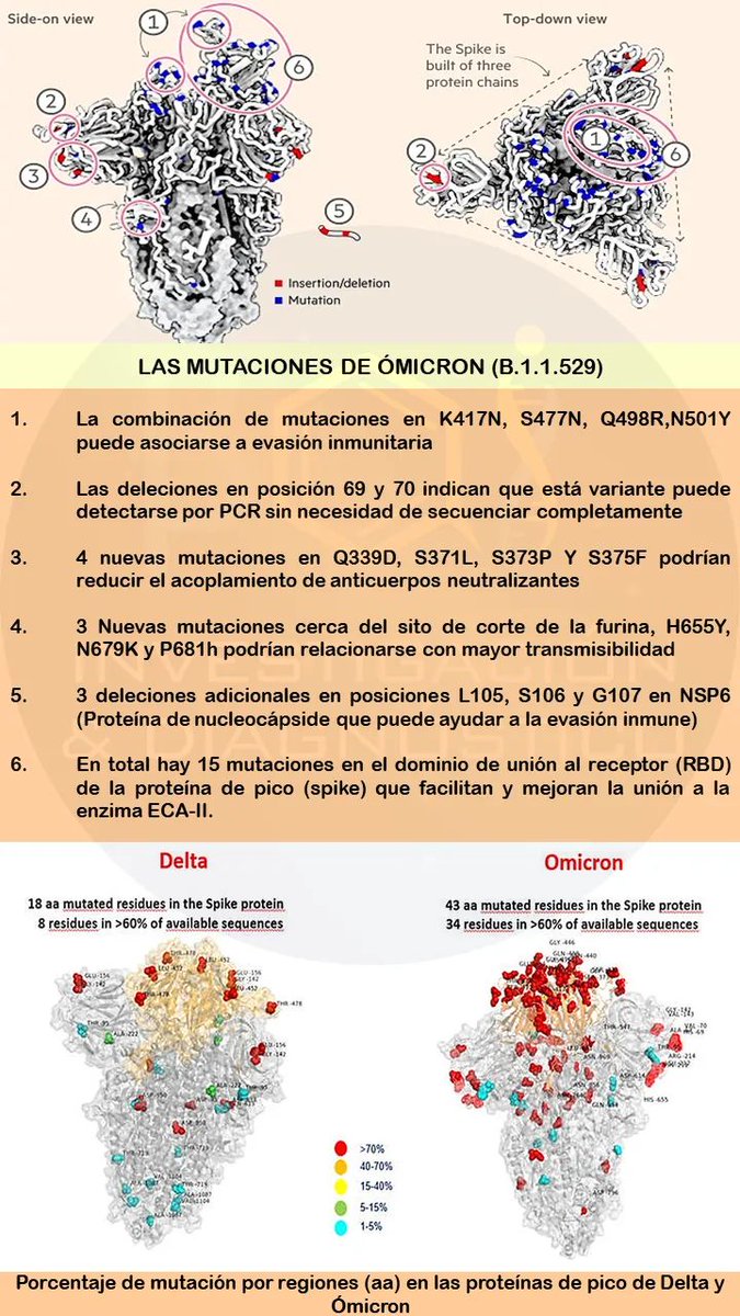 JoseMAdsuara's tweet photo. Las mutaciones de Omicron.

Fuente: Bioquímica Integral IDx. https://t.co/PRm5sgqS9c