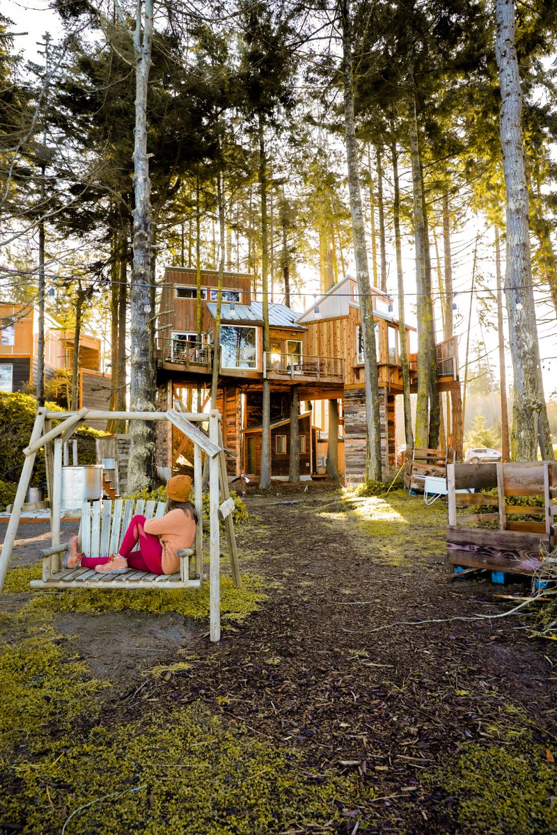 roaminders's tweet photo. Treehouse in Port Angeles, Washington https://t.co/WFAQn0Z6q3