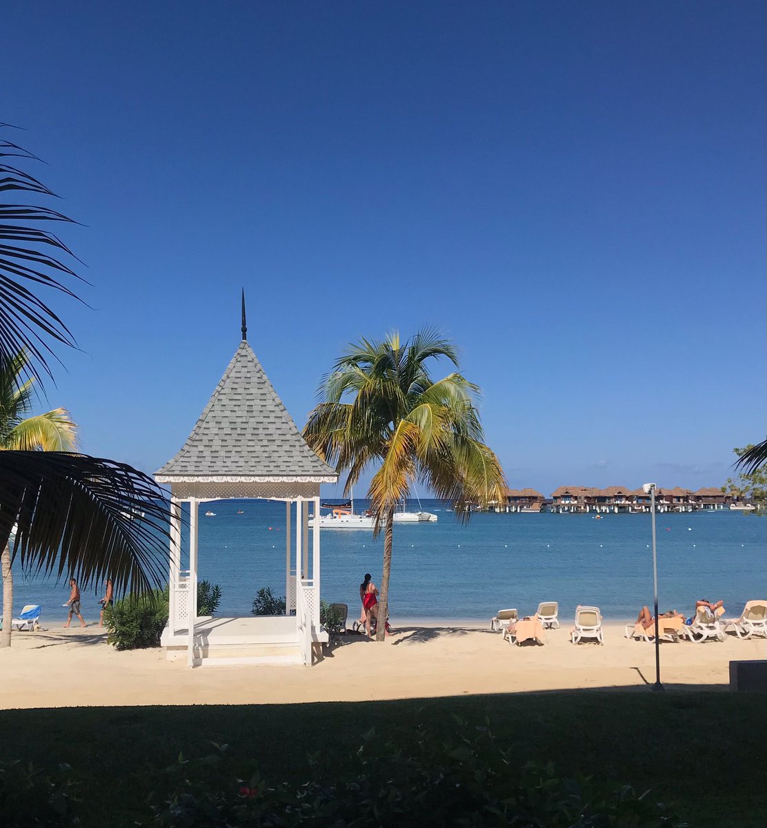 TravelPP_Expert's tweet photo. Kolejna grupa #incentivetravel 
W nastroju "#Jamaica no problem", więc wszyscy są niesamowicie zrelaksowani i rozpoczynają drugi dzień pobytu w hotelu #RIU Montego Bay🍹 https://t.co/gLZ1C3Pm8t