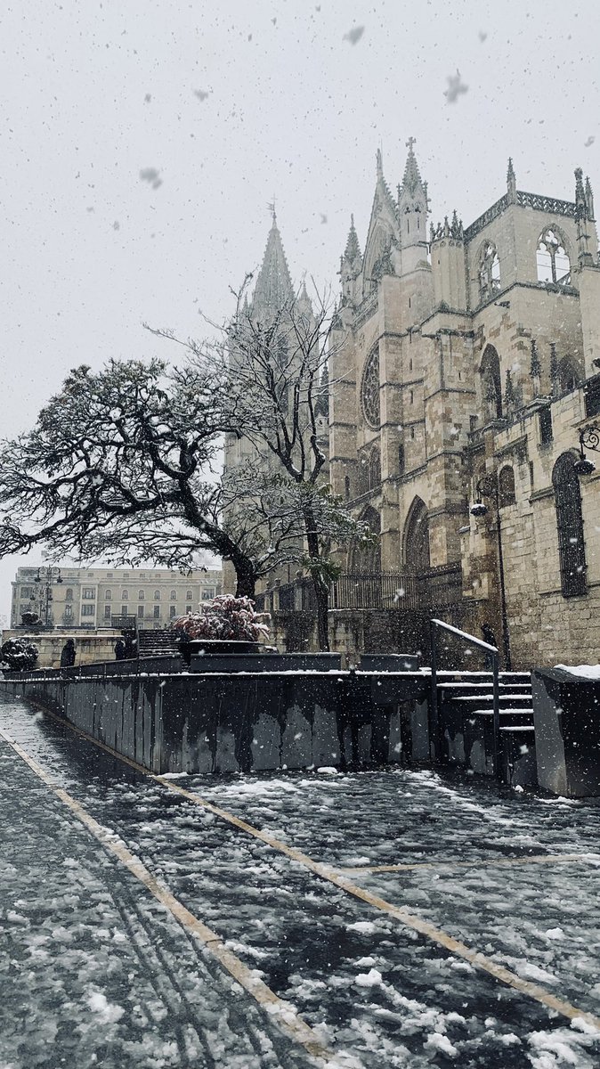 lmalvarezz's tweet photo. Un poquito de León y de 🥶 https://t.co/TRO5GkJ1WI