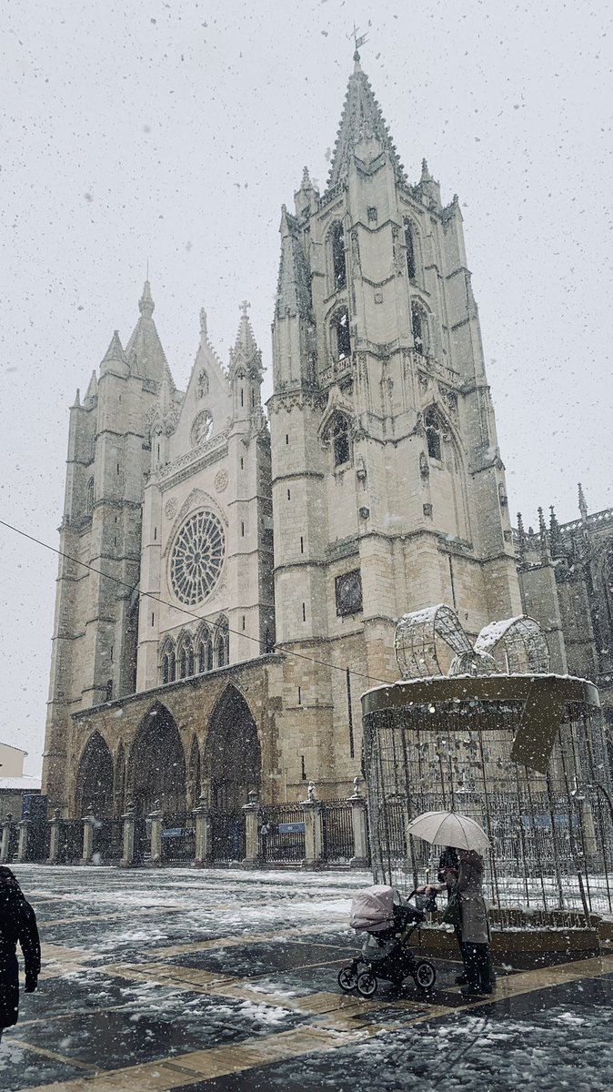 lmalvarezz's tweet photo. Un poquito de León y de 🥶 https://t.co/TRO5GkJ1WI