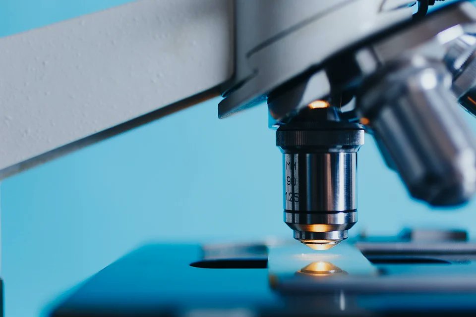 23andMe vs. MyHeritage: A simple comparison for the DNA newbie

23andMe vs. MyHeritage have different advantages. This article gives a full comparison of the two companies to help you make a decision!

#23andMe
#MyHeritage
#bestdnakit 

blog.genomelink.io/posts/23andme-…