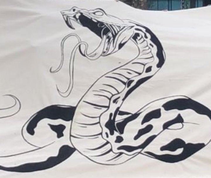 sonzerlc's tweet image. a luisa falou que estava preparando uma divulgação grande pra anaconda, e hj esse pessoal apareceu em alguns lugares com uma bandeira parecida com a cobra do banner da luisa, será que é?