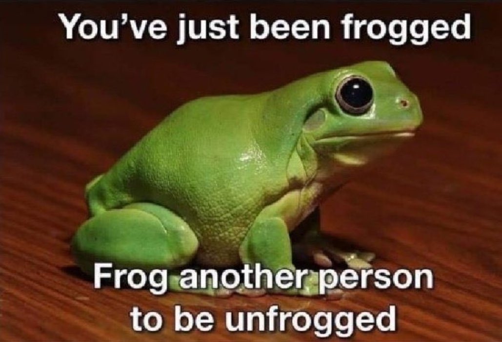 HannahUpdEsp's tweet photo. @sapgraphia @SkeppyESP @PanecillosESP @dteamupdatesesp @DTKQupdatesesp @smpupdatesesp frogg
@NihachuUpdEsp https://t.co/LP7QMwpfJb