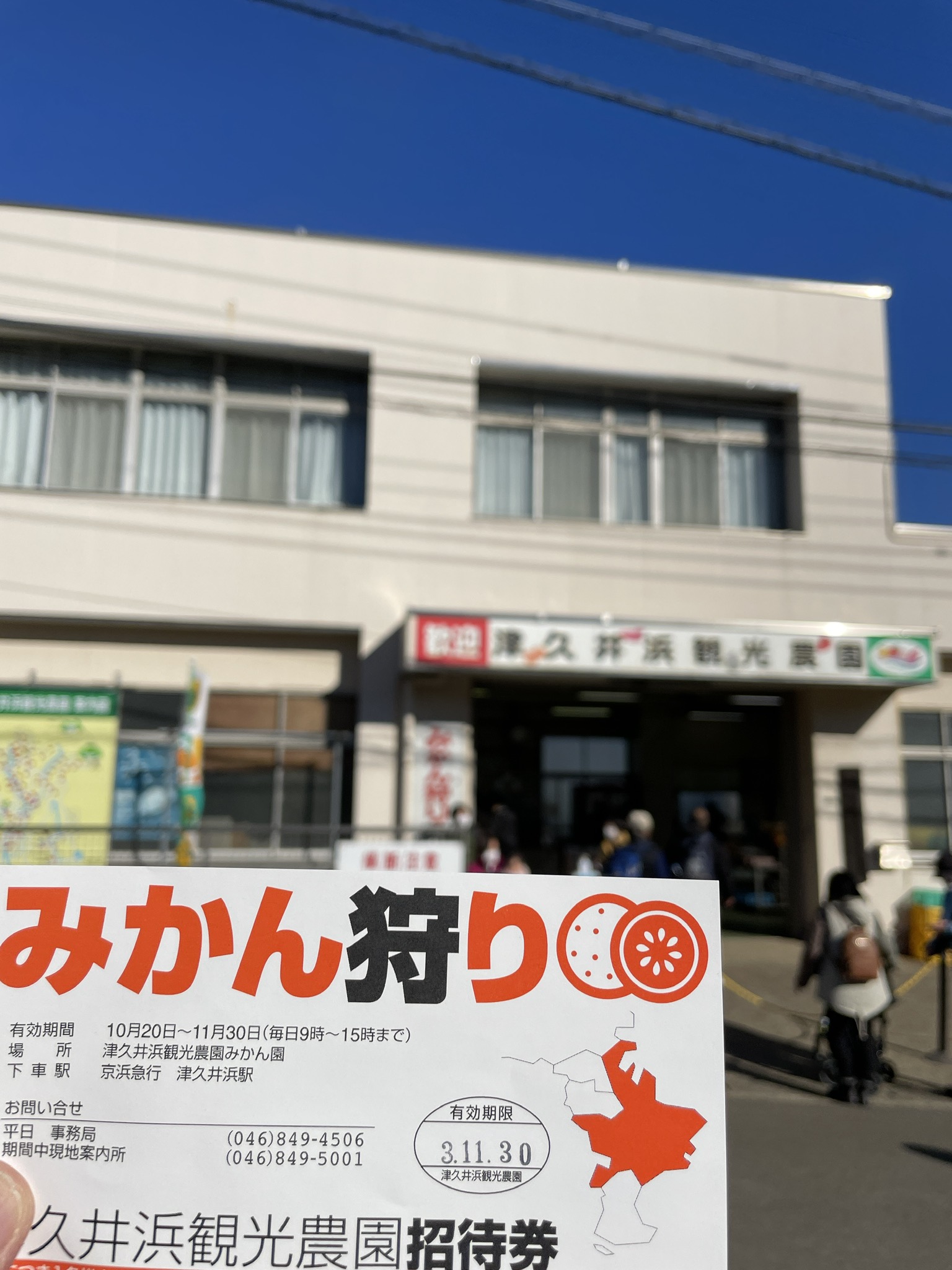 Pro 最高の天気の中 津久井浜でのみかん狩りを満喫 味が濃くておいしかった 三浦みかん 津久井浜みかん みかん狩り 甘いみかん 三浦市 小さいみかん 神奈川県 京浜急行 T Co Qdaifmagfs Twitter